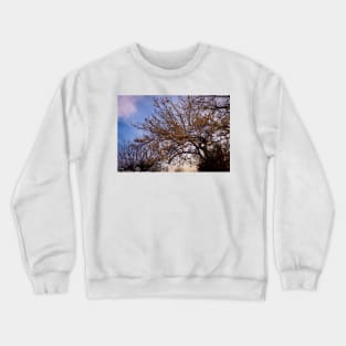 Spring flowers pictures, peach colors Crewneck Sweatshirt